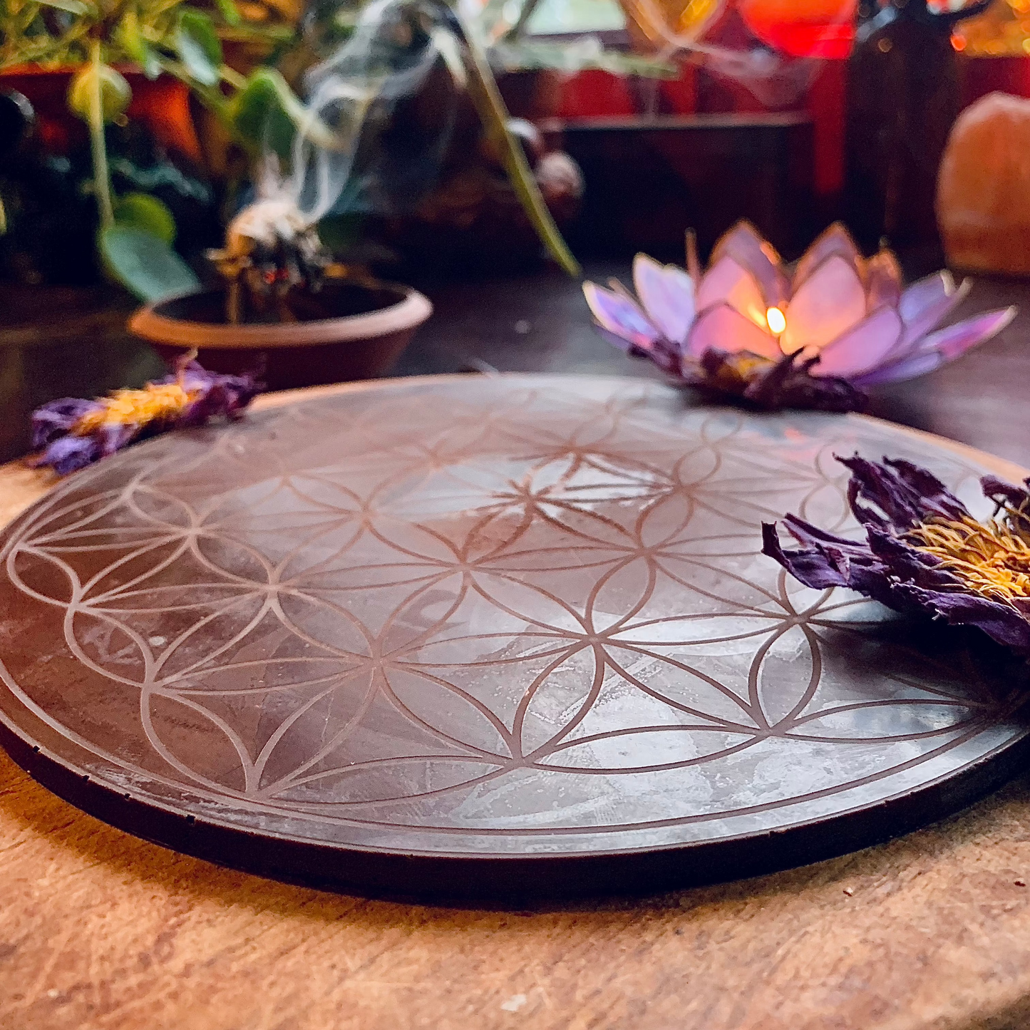 Cacao Dreams - Ceremonial Cacao with Blue Lotus & Medicinal Mushroom Mix