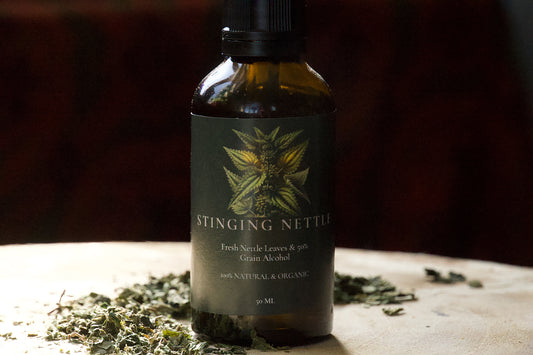 Nettle Leaf Tincture