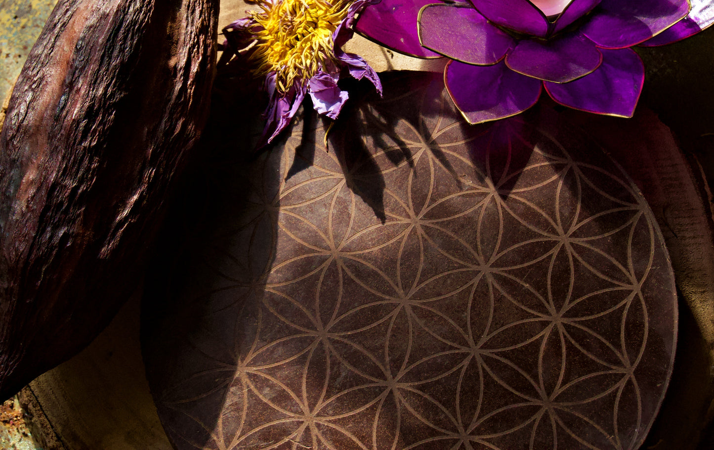 Cacao Dreams - Ceremonial Cacao with Blue Lotus & Medicinal Mushroom Mix