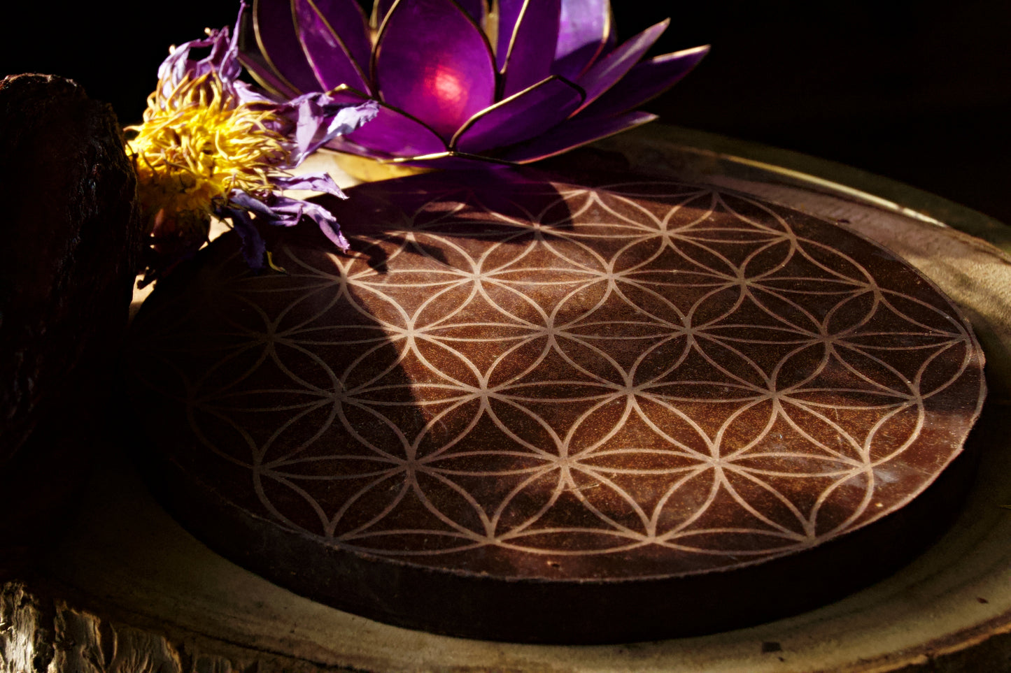 Cacao Dreams - Ceremonial Cacao with Blue Lotus & Medicinal Mushroom Mix