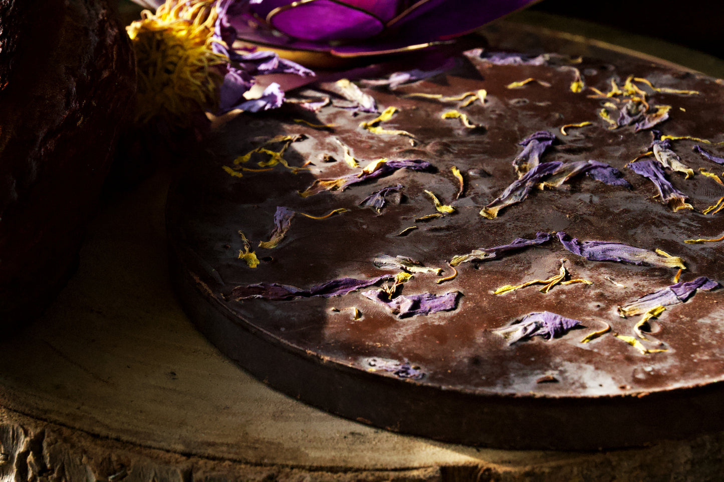 Cacao Dreams - Ceremonial Cacao with Blue Lotus & Medicinal Mushroom Mix