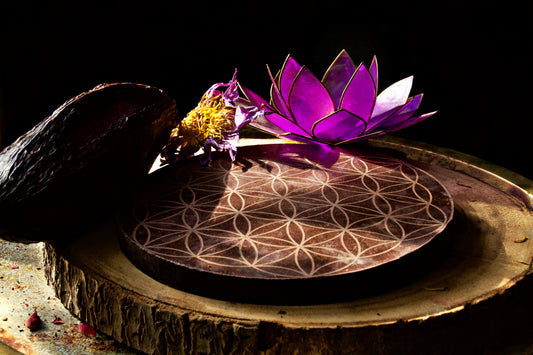 Cacao Dreams - Ceremonial Cacao with Blue Lotus & Medicinal Mushroom Mix